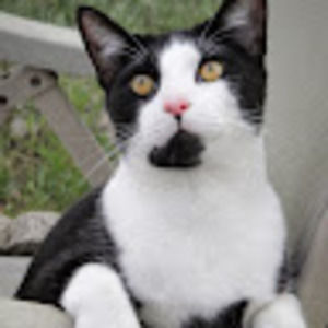 Meet your Posher, Paige